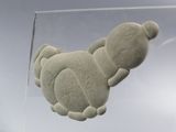 a small turtle in a clear box on a table