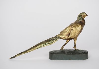 A. JACQUEMART. "le faisan doré"