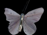 purple butterfly with gold wings on a black background with a black background