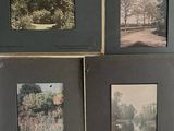 four black and white photographs of trees and a river in a park
