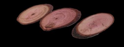 three slices of wood are shown on a black background