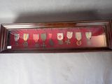 a picture of a picture of a display of medals