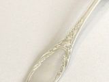 a spoon that is sitting on a table