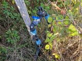 un tuyau relié à un poteau dans l'herbe
