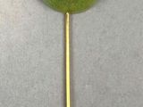 épinglette verte et dorée ornée d'un cactus