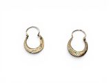 a pair of gold hoop earrings on a white background