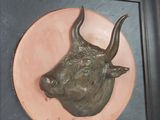 a picture of a bull head mounted on a wall