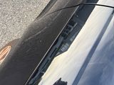 a dog that is sitting on the hood of a car