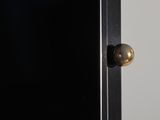 a close up of a door handle on a black door