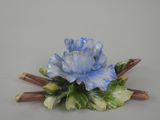 une fleur bleue au sommet d'une feuille verte