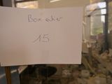 une pancarte sur la porte d'un immeuble sur laquelle est inscrit « box »