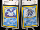 Deux cartes Pokémon sont exposées sur un présentoir devant un fond noir.