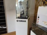 Photo 5/8 du lot