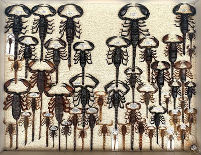 a picture of a picture of a picture of a group of scorpions
