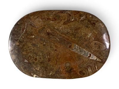 brown stone with a design on it sitting on a white surface