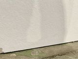 a cat that is sitting on the ground next to a wall