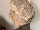 a statue of a head on a stand in a room