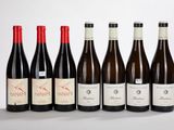 six bouteilles de vin alignées sur une surface blanche