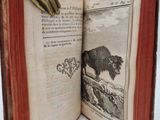 Photo 19/29 du lot