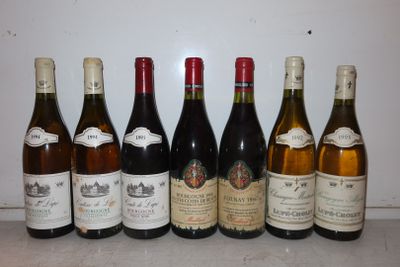 plusieurs bouteilles de vin sont alignées sur un comptoir