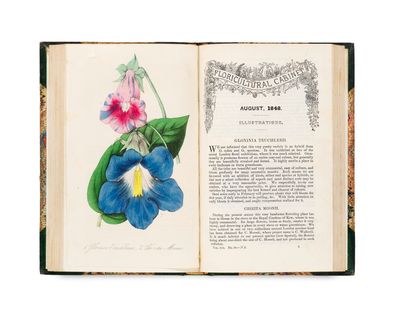 un livre sur lequel figure l'image d'une fleur