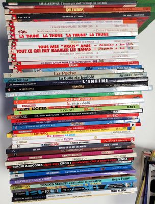 Carton de 50 bandes dessinées diverses