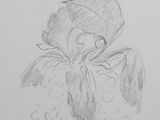 pencil drawing of a flower in a vase on a table