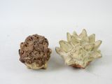 two pieces of fruit that are sitting on a table