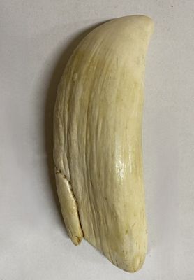 une banane coupée en deux posée sur une table