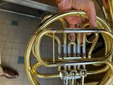 a person holding a brass french horn in their hand