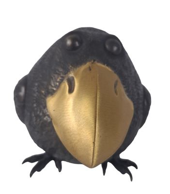 un oiseau noir au bec doré sur fond blanc