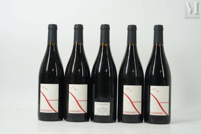 six bouteilles de vin rouge sont alignées sur une surface blanche