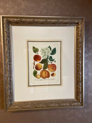 une photo d'une photo représentant des fruits accrochés à un mur