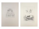 deux dessins en noir et blanc représentant des oiseaux survolant un plan d'eau