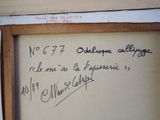 Photo 7/7 du lot