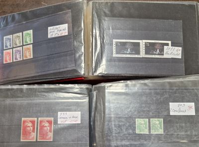 2 albums contenant environ 124 plaquettes de timbres de Fran…