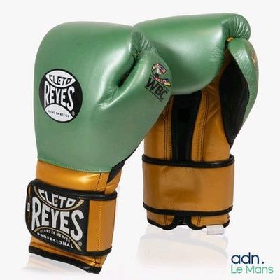 green and gold boxing gloves on a white background
