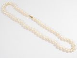 a pearl necklace with a gold clasp on a white background
