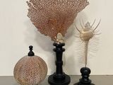 three vases that are sitting next to each other on a table