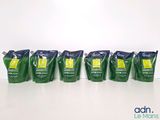 Six sachets de thé vert sont posés sur une table devant un mur blanc.