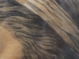 painting of a woman with a turban on her head