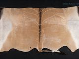 an image of a piece of cow hide on a black surface