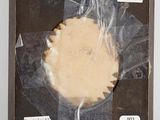a picture of a pie in a box with labels on it