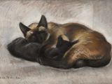 a painting of a siamese cat curled up on a pillow
