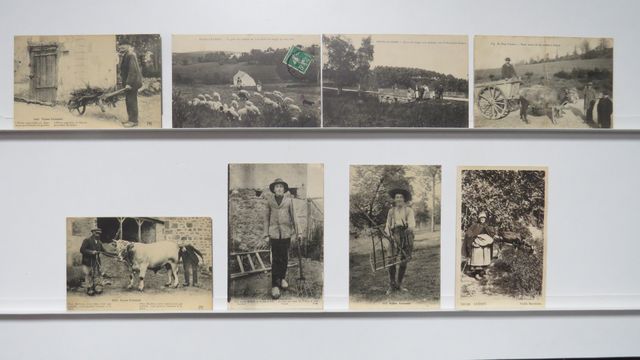 Types creusois : Lot de 8cpa (1 avec 2 gros plis ; les 7 autres :...