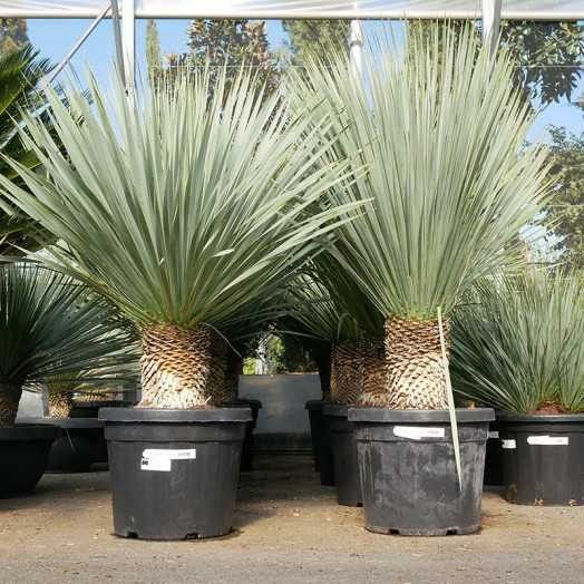 Destockage & Invendus