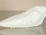 a white bird that is sitting on a table