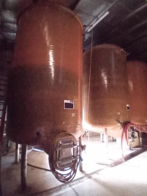 5 cuves en fibre 150 hl dont 2 avec chapeaux flottants (troi…