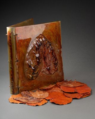 un livre sur lequel figurent l'image d'un cheval et des feuilles