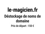 Photo 1/1 du lot